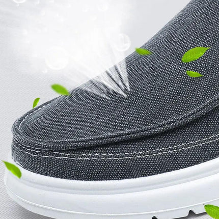 Casual canvas shoes