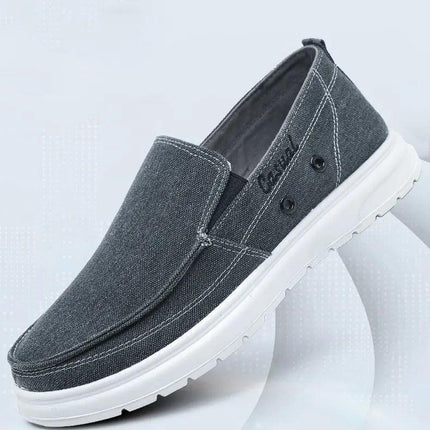 Casual canvas shoes